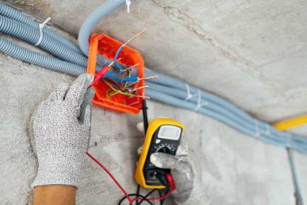 Best Electrical System Inspection  in Felton, DE
